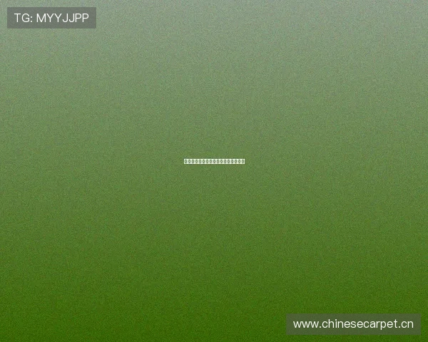 德甲球队历史排名及其联赛表现的演变