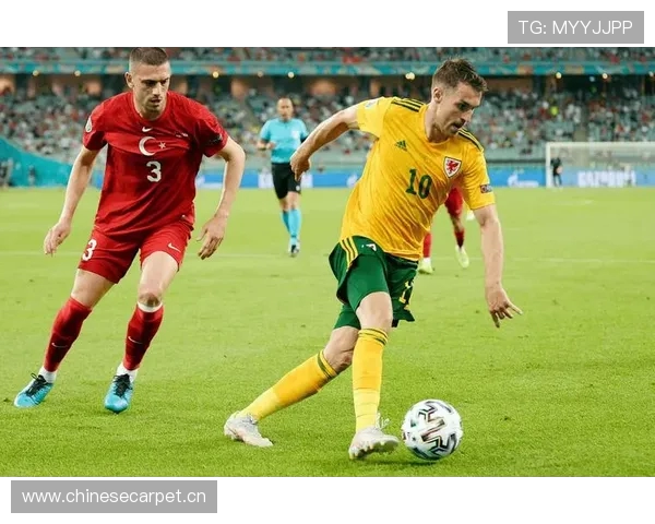 法甲球队本赛季最大挑战分析：分析法甲各球队本赛季面临的最大挑战